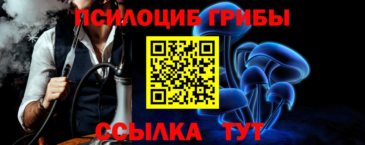 Псилоцибиновые грибы Cubensis Карпинск